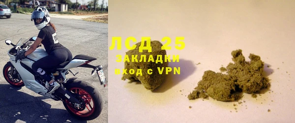 прущие грибы Ельня