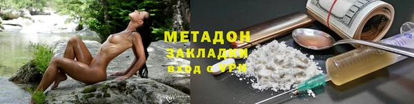 прущие грибы Ельня