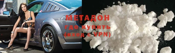 прущие грибы Ельня