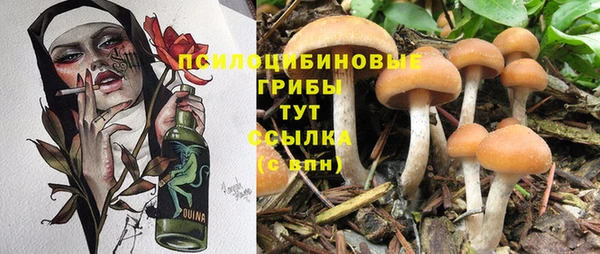 стаф Елабуга