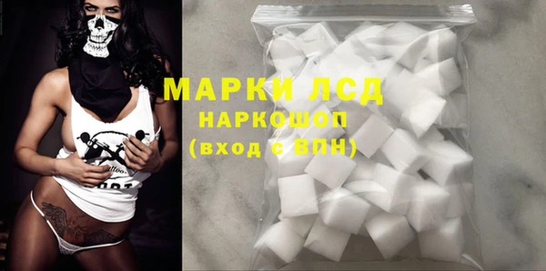 прущие грибы Ельня