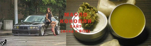 прущие грибы Ельня