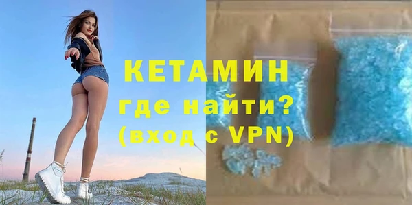 прущие грибы Ельня