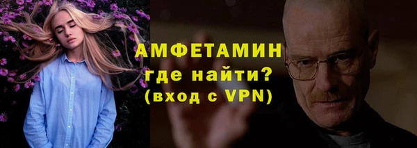 прущие грибы Ельня