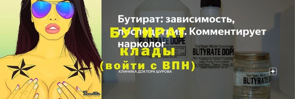 прущие грибы Ельня