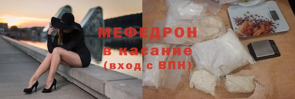 прущие грибы Ельня