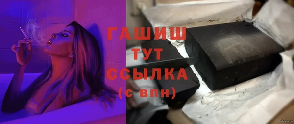 стаф Елабуга