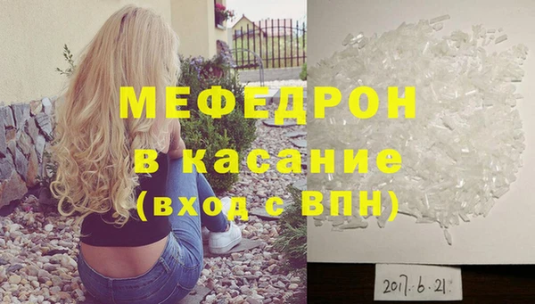 прущие грибы Ельня