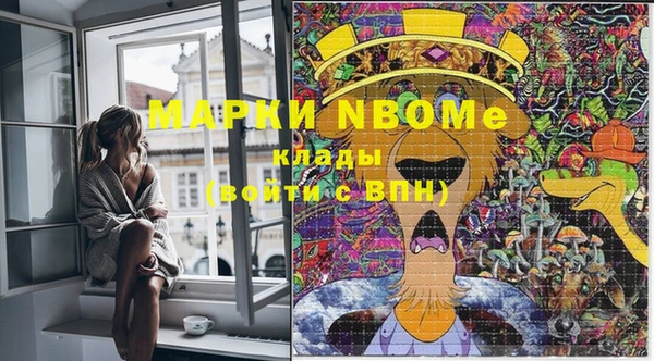 прущие грибы Ельня