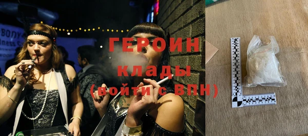 прущие грибы Ельня