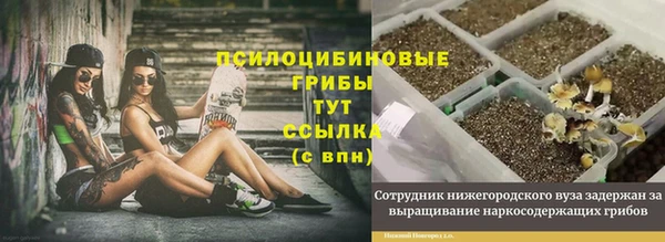 синтетический гашиш Елизово