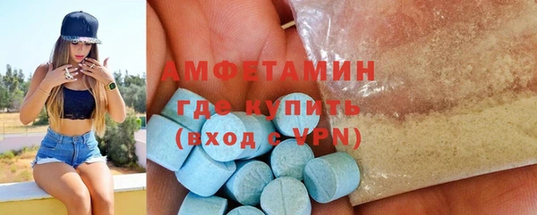 прущие грибы Ельня