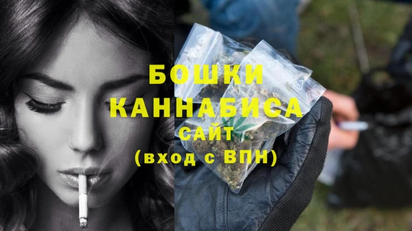 прущие грибы Ельня