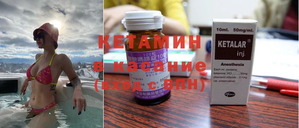прущие грибы Ельня
