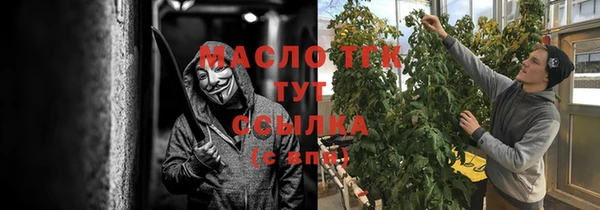 стаф Елабуга