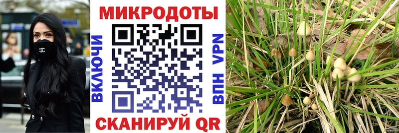 блэк спрут как зайти  Инза  Псилоцибиновые грибы Psilocybine cubensis 
