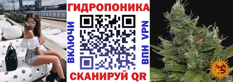 где купить наркотик  кракен   Шишки марихуана AK-47  Инза 